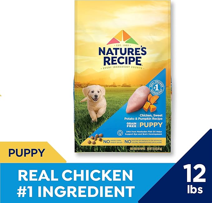 Nature′s Recipe Grain Free Puppy Chicken, Sweet Potato & Pumpkin Recipe Dry Dog Food, 12 lb. Bag