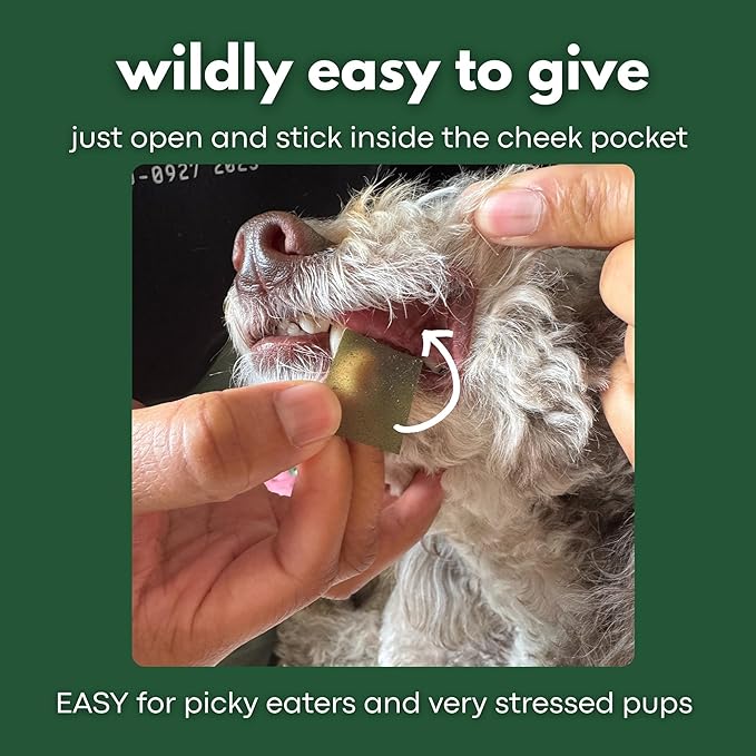 ZenMelts Dogs Anxiety Relief Calming 5 Strips only - Anti Anxiety for Dogs During Fireworks, Storms & Separation - Non-Drowsy Tasty Dog 5 - Melt