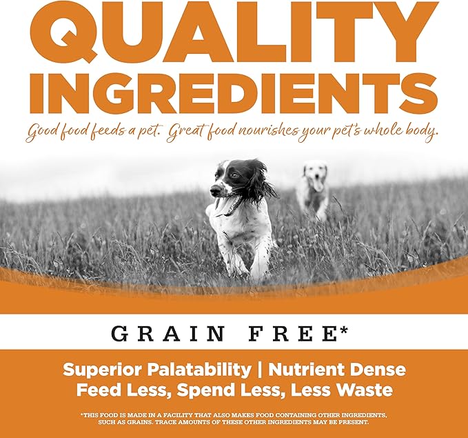 NutriSource Grain Free Lamb Recipe Dog Food, Premium Wet Dog Food, 12.3 Ounce (Pack of 12)