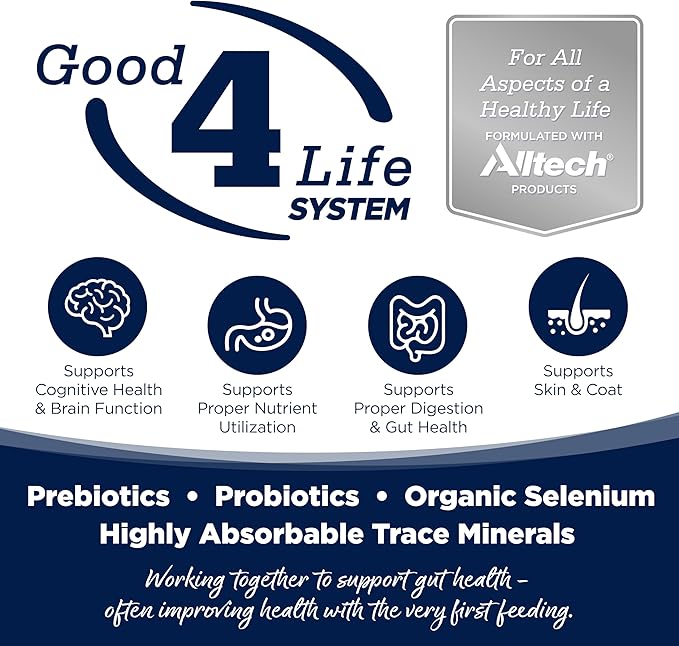 NutriSource Grain Free Woodlands Select Recipe Dog Food, Premium Wet Dog Food, 12.3 Ounce (Pack of 12)