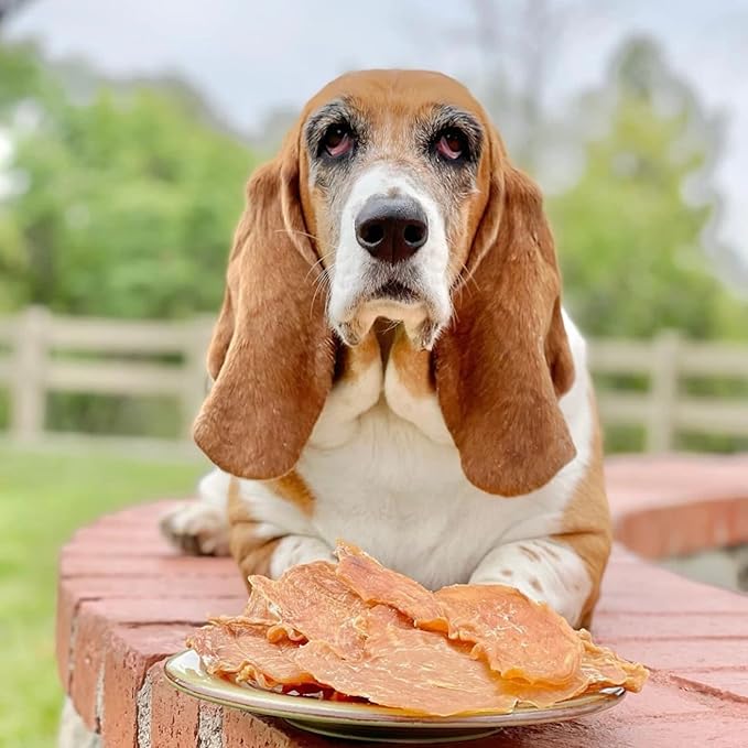 Chicken Jerky - Dog Treats Made in USA Only - 1 Ingredient: USDA Grade A Chicken Breast - No Additives or Preservatives - Grain Free Snack, All Natural Premium Strips, 8 Ounces