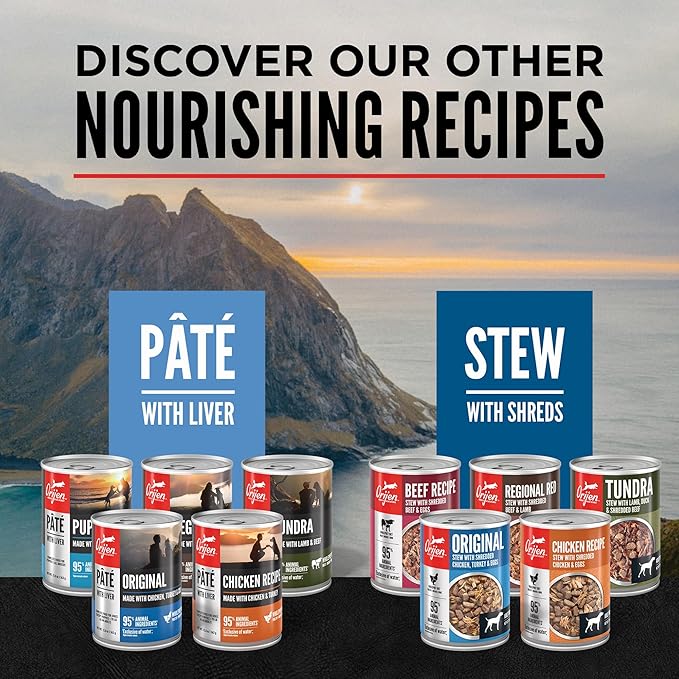 ORIJEN Pate Wet Dog Food Original Recipe with Liver 12.8oz Cans (12 Count)