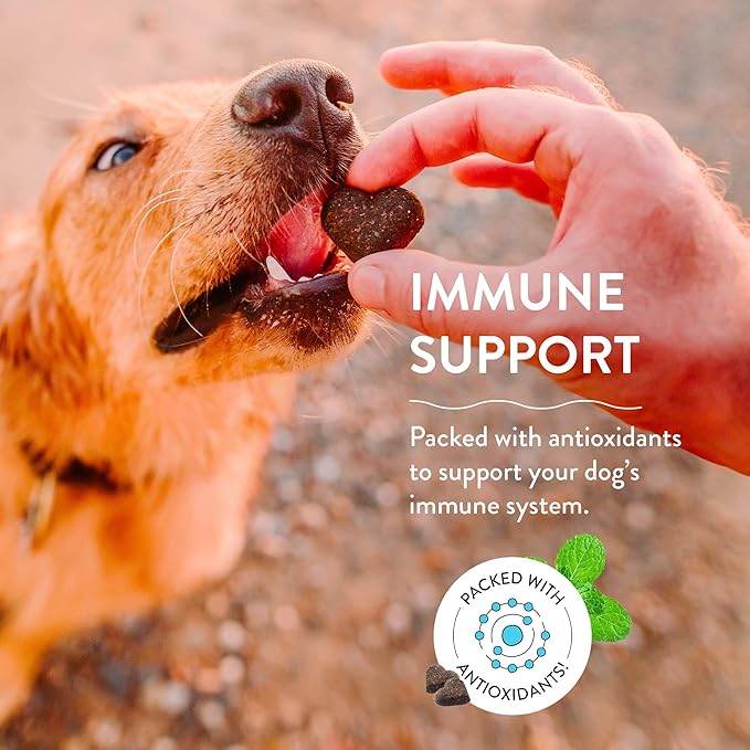 Shameless Pets Soft-Baked Dog Treats, Blueberried Treasure - Natural & Healthy Dog Chews with Mint for Immune Support - Baked & Made in USA, Free from Grain, Corn & Soy - 3-Pack