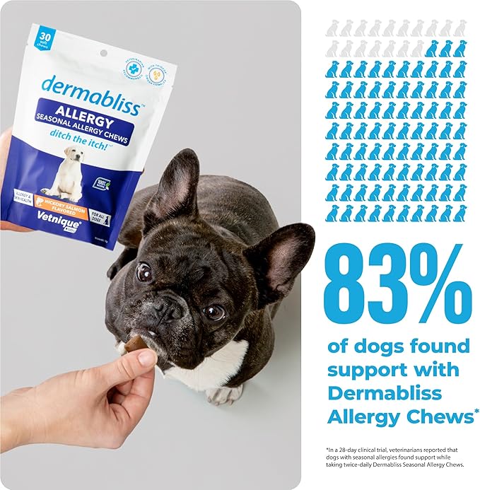 Vetnique Dermabliss Seasonal Dog Allergy Relief & Immune Support Supplement Allergy Chews for Dogs Itching and Licking with Omega 3 Fish Oil & Probiotics for Itch Relief (60 Count Chews)