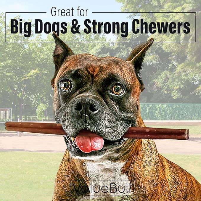 ValueBull Bully Sticks for Dogs, Thick 12 Inch, 50 Count - All Natural, Grass Fed, Single Ingredient, Long Lasting Dog Treats