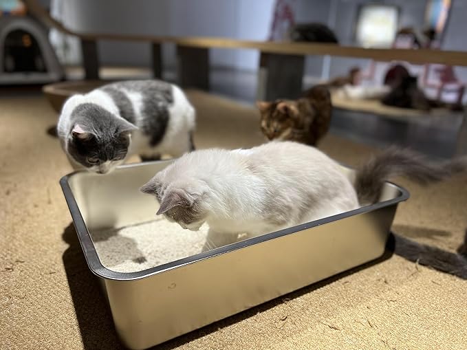 IKITCHEN Stainless Steel Cat Litter Box, Large Metal Litter Box for Cats, Never Absorbs Odors,Stain Free, Rustproof, Non Stick Smooth Surface 23.5" L x 15.5" W x 6" H