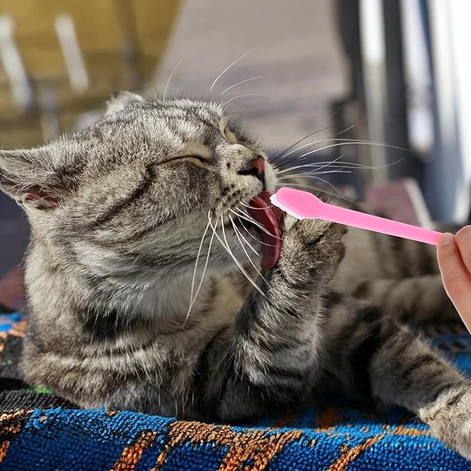 12Pcs Toothbrush for Dogs Small Breed,Dual Headed Dog Toothbrush,Dental Hygiene Soft Toothbrushs to Clean Pet Teeth,Dog Tooth Brush for Small to Large Dogs, Cats and Most Pets, 12 Color