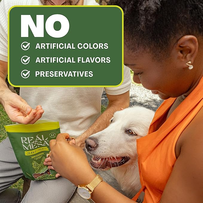 Beef Kabob Jerky Treats for Dogs - All-Natural, High-Protein Dog Snacks - Premium Beef Dog Treats for Training & Rewarding - Healthy, Delicious Kabobs (9.5oz)