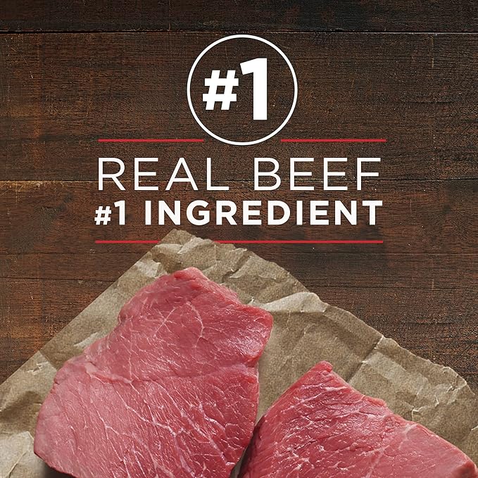 Purina ONE Wet Dog Food True Instinct Classic Ground Grain-Free Formula With Real Beef and Wild Caught Salmon High Protein Wet Dog Food - (Pack of 12) 13 oz. Cans