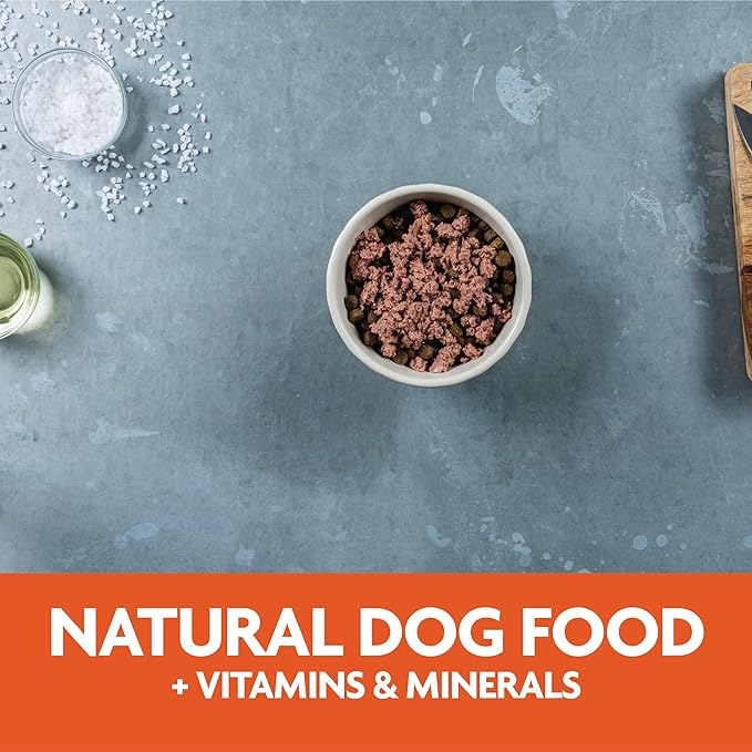 Evolve Classic Crafted Meals Turkey Recipe Dog Food (Pack of 15)