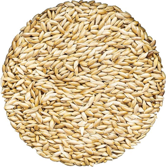 Unida Alpiste Canary Seeds for Birds - 5 lbs, 100% Natural, Non-GMO, No Additives, Bulk Wild Bird Feed