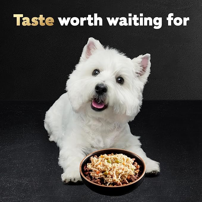 Cesar Wholesome Bowls Adult Wet Dog Food, Beef, Chicken, Carrots, Barley & Green Beans Recipe and Chicken, Apple & Sweet Potato Recipe Variety Pack, 3 oz. (6 Count, Pack of 1)