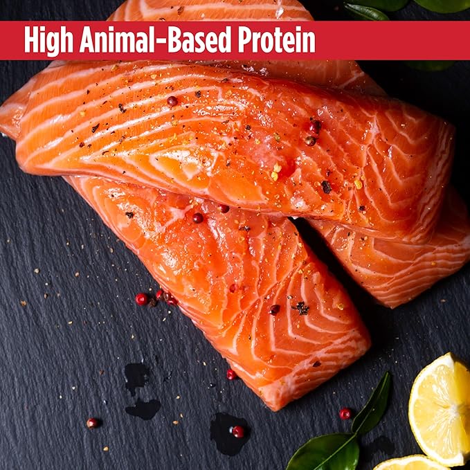 Nulo Ancient Grains Savory Stew with Whole Ingredients Puppy & Dog Food, Chicken and Salmon in Broth, 6.0 Ounce, 8 Cans