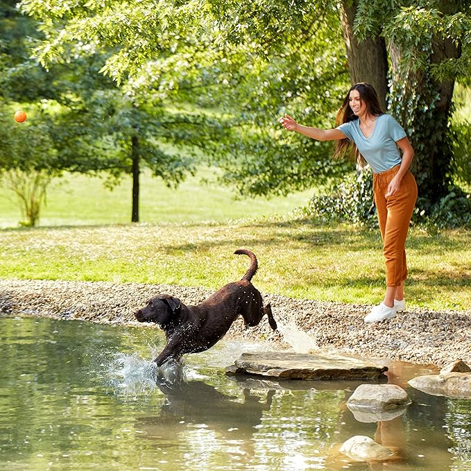 Nature’s Recipe Grain Free Large Breed Chicken, Sweet Potato & Pumpkin Recipe Dry Dog Food, 24 lb. Bag