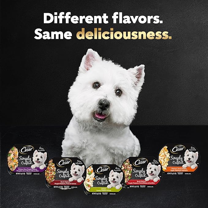 Cesar Simply Crafted Adult Wet Dog Food Meal Topper, Chicken, Carrots & Green Beans, 1.3oz. (10 Count, Pack of 1)