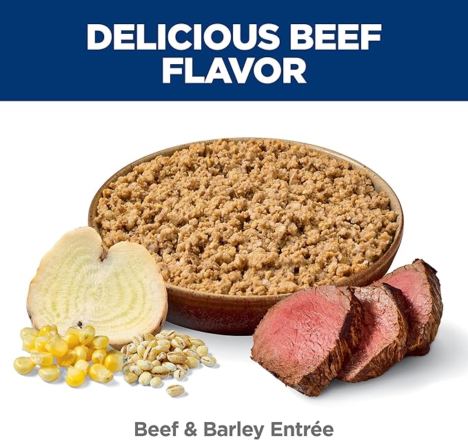 Hill's Science Diet Adult 7+, Senior Adult 7+ Premium Nutrition, Wet Dog Food, Beef & Barley Loaf, 13 oz Can, Case of 12