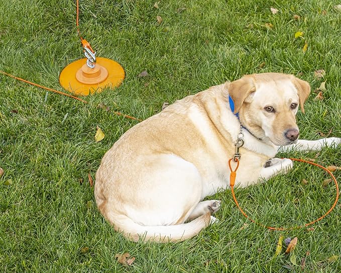 40ft Tie-Out Cables for Dogs - Strong, Safe, and Durable Dog Tie-Outs for Small Dogs up to 90 Pounds - Weather and Wear Resistant Galvanized Aircraft Cable for Outside Use