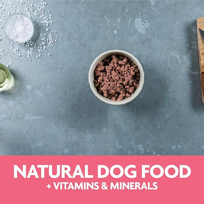 Evolve Classic Crafted Meals Salmon Recipe Dog Food (Pack of 15)