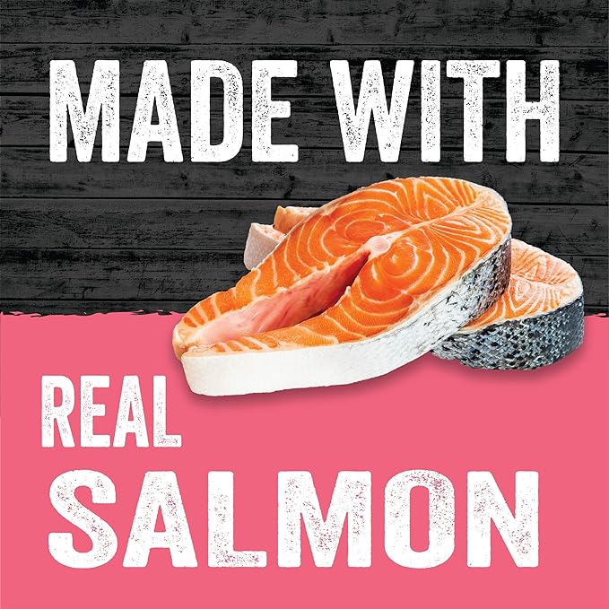 Evolve Classic Crafted Meals Salmon Recipe Dog Food (Pack of 15)