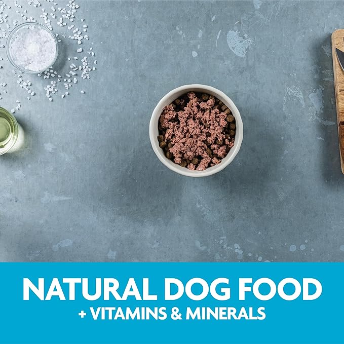 Triumph Meals of Victory Chicken Recipe Wet Dog Food | 3.5 oz - 15 pk